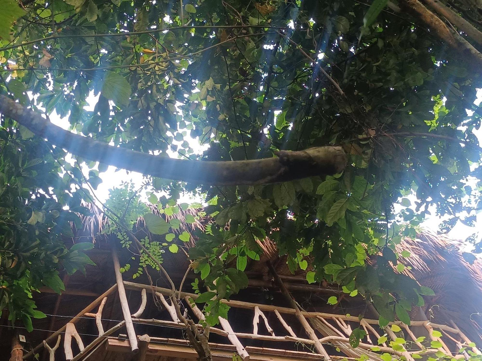 Sierra Tayrona Hostel El Zaino Εξωτερικό φωτογραφία