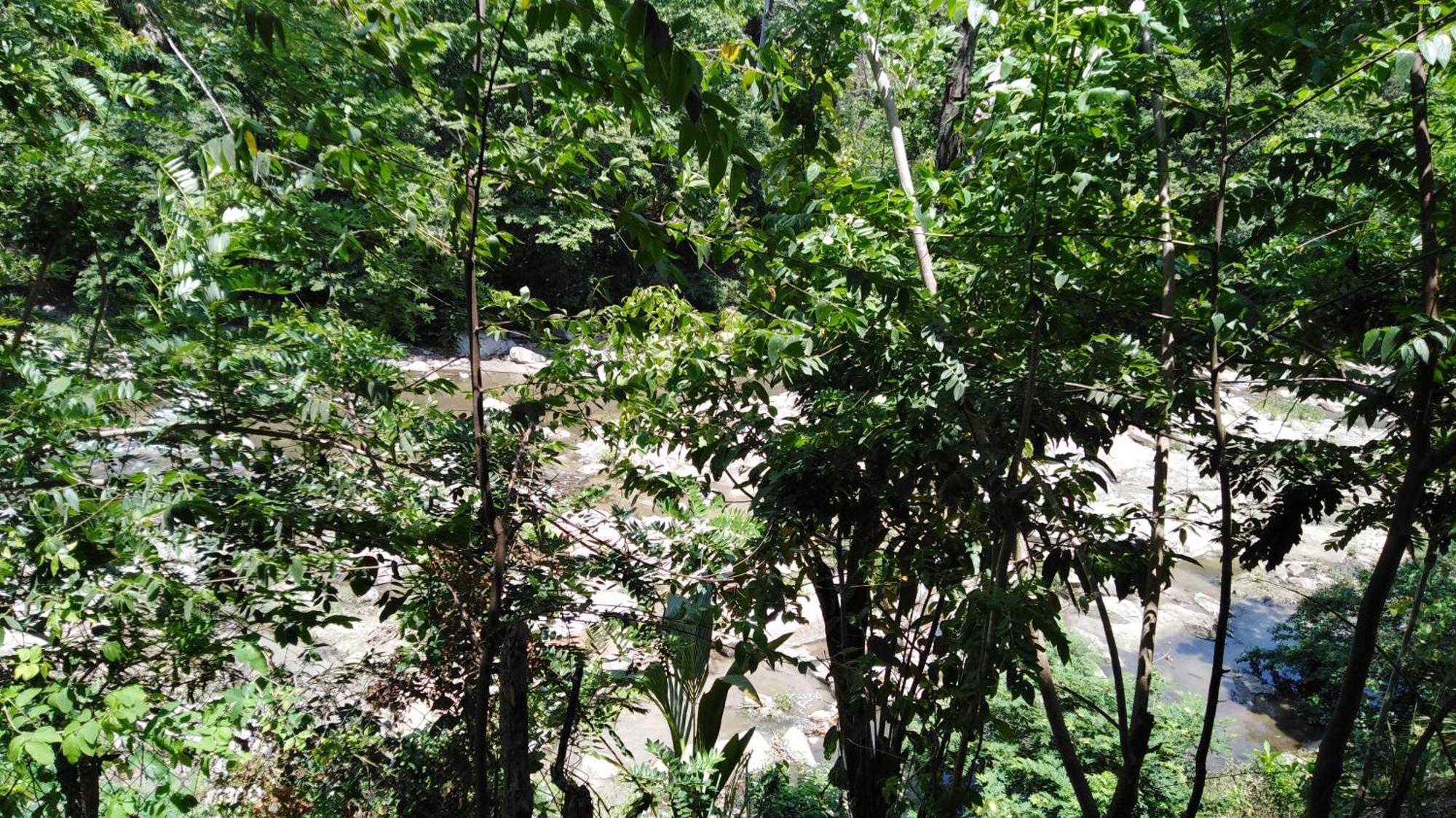 Sierra Tayrona Hostel El Zaino Εξωτερικό φωτογραφία