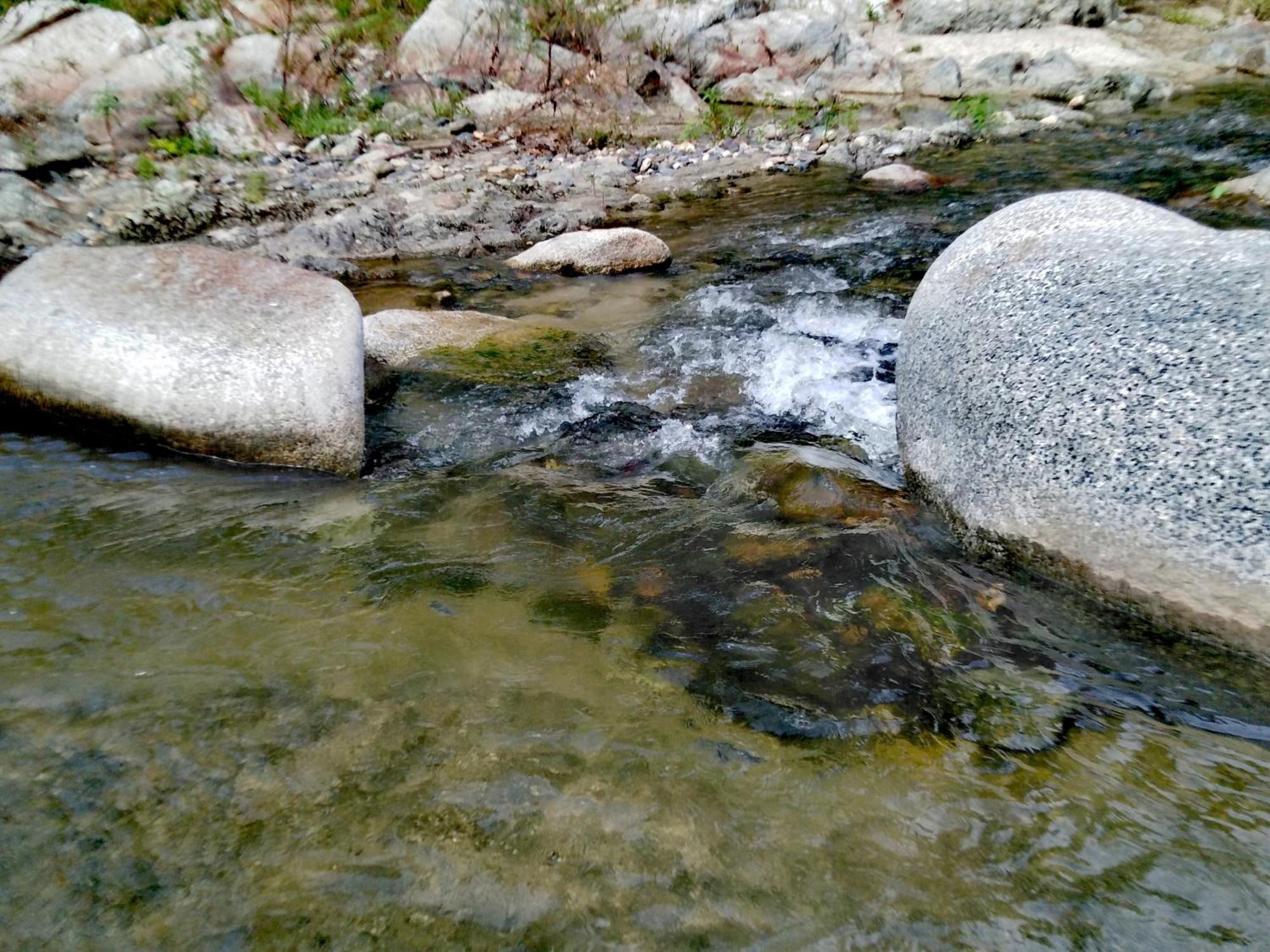 Sierra Tayrona Hostel El Zaino Εξωτερικό φωτογραφία