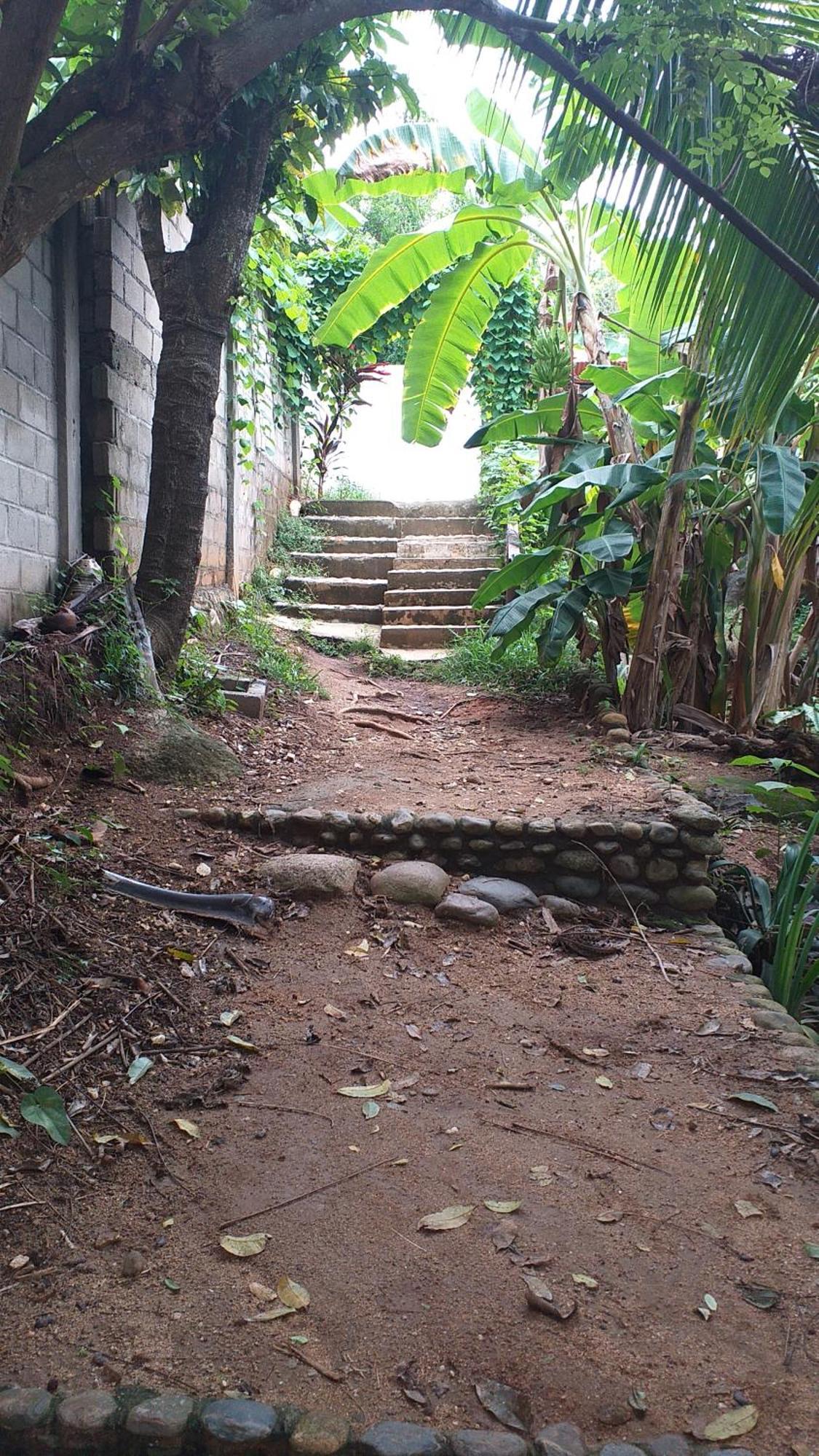Sierra Tayrona Hostel El Zaino Εξωτερικό φωτογραφία