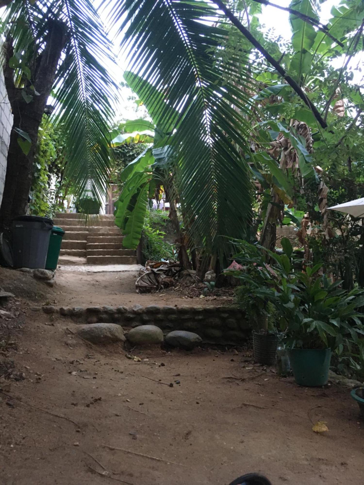 Sierra Tayrona Hostel El Zaino Εξωτερικό φωτογραφία